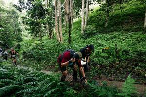 BIB: 
                            <button type="button" onclick="openModal(26409790)" class="btn btn-primary btn-sm float-right btn-popup" data-toggle="modal" data-target=".modal-high-quality">
                        <i class="fas fa-shopping-cart"></i> Add to Cart
                    </button>
                                            <button type="button" onclick="isThisMe(26409790, true)" class="btn btn-success btn-sm float-right btn-popup btn-isme hidden" data-toggle="tooltip" data-placement="bottom" title="นี่คือรูปของคุณใช่ไหม คลิกที่นี่เพื่อเอาเข้าอัลบั้ม">
                        <i class="fas fa-plus"></i> Add to album
                    </button>
                    <button type="button" onclick="isThisMe(26409790, false)" class="btn btn-warning btn-sm float-right btn-popup btn-isnotme hidden">
                        <i class="fas fa-ban"></i> Remove from album
                    </button>